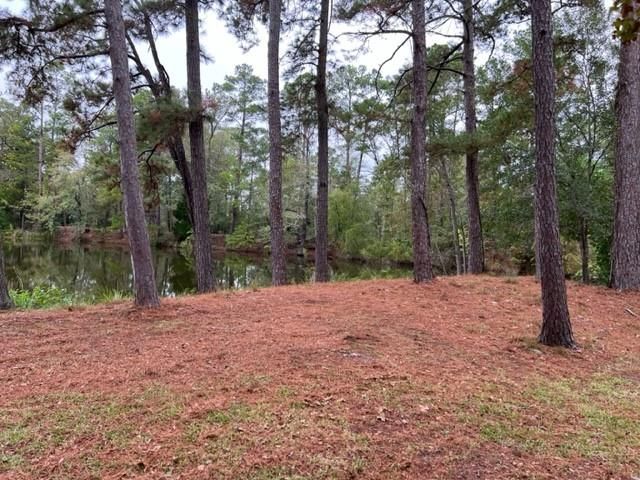 29 Thomas Lake Road, Riverside, TX 77367