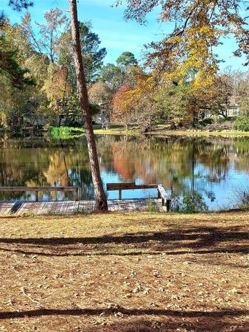 29 Thomas Lake Road, Riverside, TX 77367