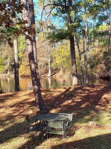 29 Thomas Lake Road, Riverside, TX 77367