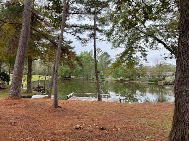 29 Thomas Lake Road, Riverside, TX 77367