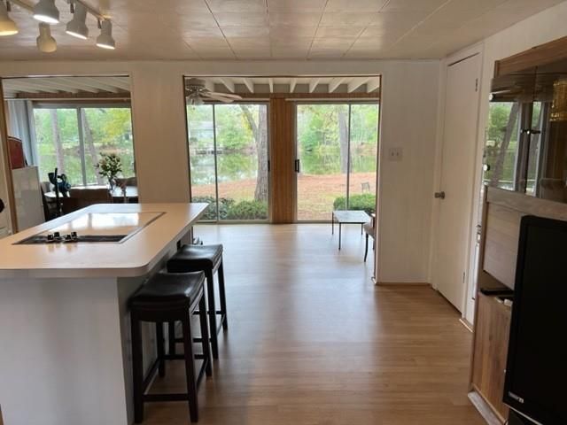 29 Thomas Lake Road, Riverside, TX 77367