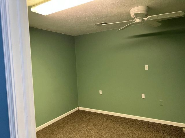 119 N Camburn Street, Stanton, MI 48888