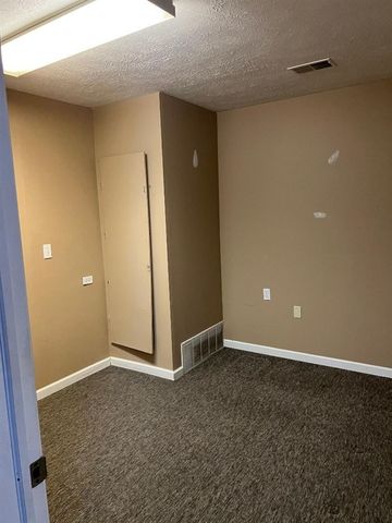 119 N Camburn Street, Stanton, MI 48888