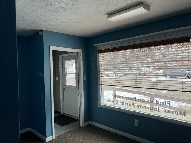 119 N Camburn Street, Stanton, MI 48888