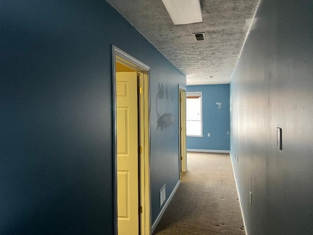 119 N Camburn Street, Stanton, MI 48888