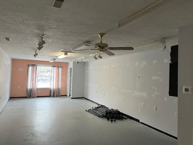 119 N Camburn Street, Stanton, MI 48888