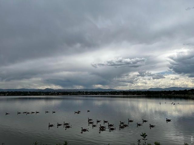 1324 Zenobia St, Denver, CO 80204