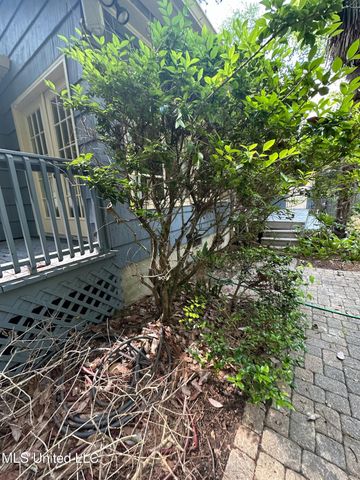 3564 Cowan Place, Jackson, MS 39216