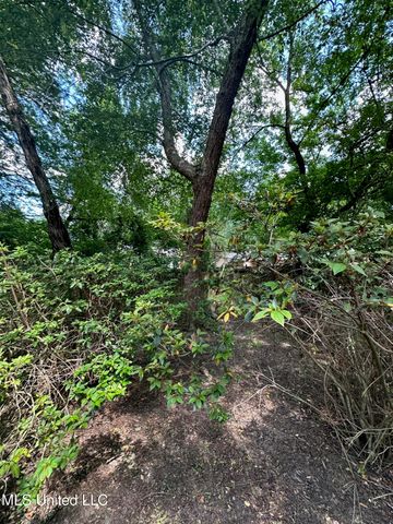 3564 Cowan Place, Jackson, MS 39216