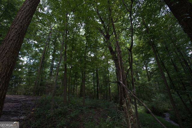 2170 Fork Creek Road, Bowman, GA 30624