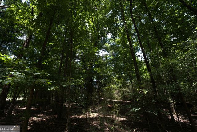 2170 Fork Creek Road, Bowman, GA 30624