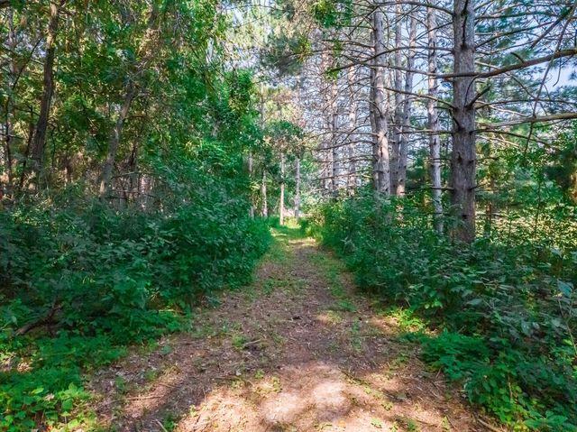 165 150th Lane NW, Andover, MN 55304