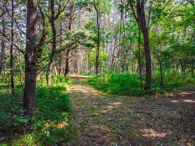 165 150th Lane NW, Andover, MN 55304