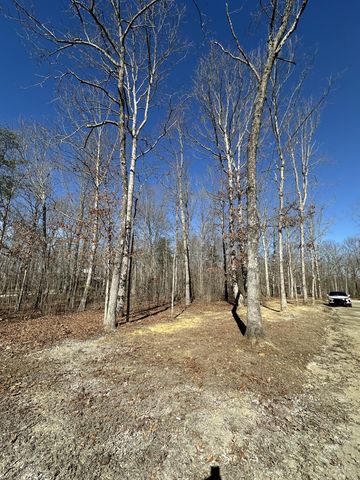 222 Sunset Bluff Way, Monteagle, TN 37356