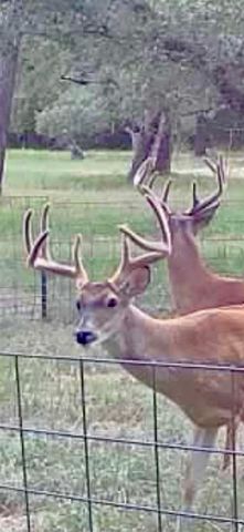 1108 County Road 152, Hallettsville, TX 77964