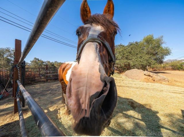 15625 Mussey Grade Rd, Ramona, CA 92065
