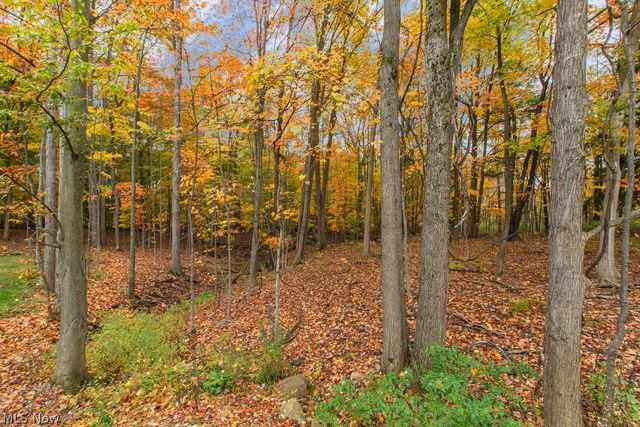 2770 Weeping Pine Drive, Medina, OH 44256