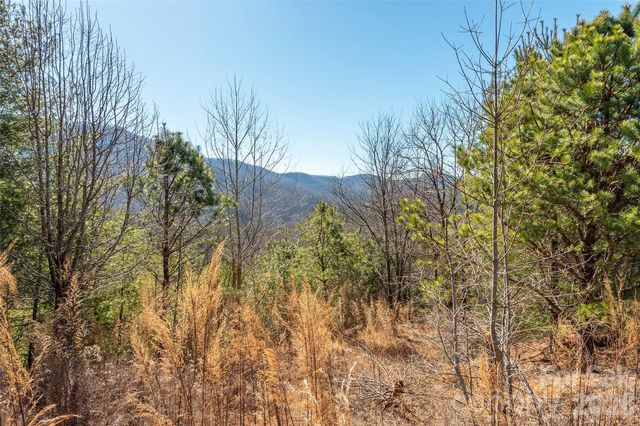99999 Woodhen Way 138 & 139, Horse Shoe, NC 28742