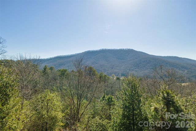 99999 Woodhen Way 138 & 139, Horse Shoe, NC 28742