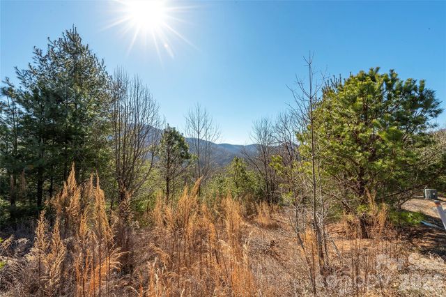 99999 Woodhen Way 138 & 139, Horse Shoe, NC 28742