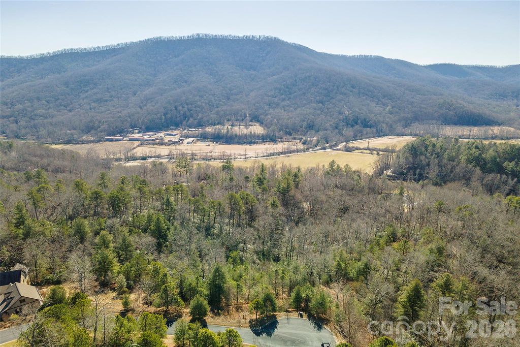 99999 Woodhen Way 138 & 139, Horse Shoe, NC 28742