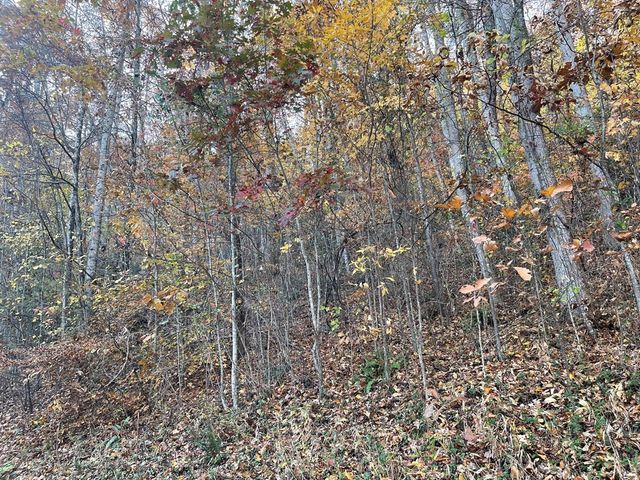 Lot 51J Indian Trail, Hayesville, NC 28904