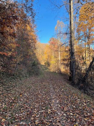 Lot 51J Indian Trail, Hayesville, NC 28904