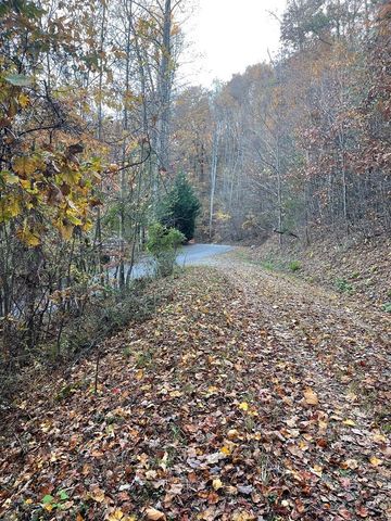 Lot 51J Indian Trail, Hayesville, NC 28904