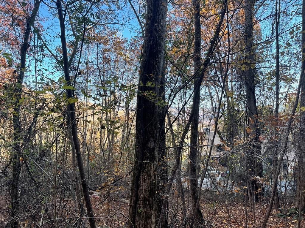 Lot 51J Indian Trail, Hayesville, NC 28904