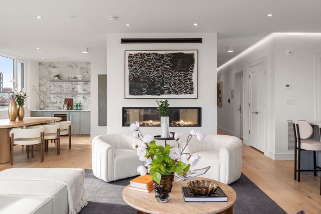 595 Albany Street PH, Boston, MA 02118