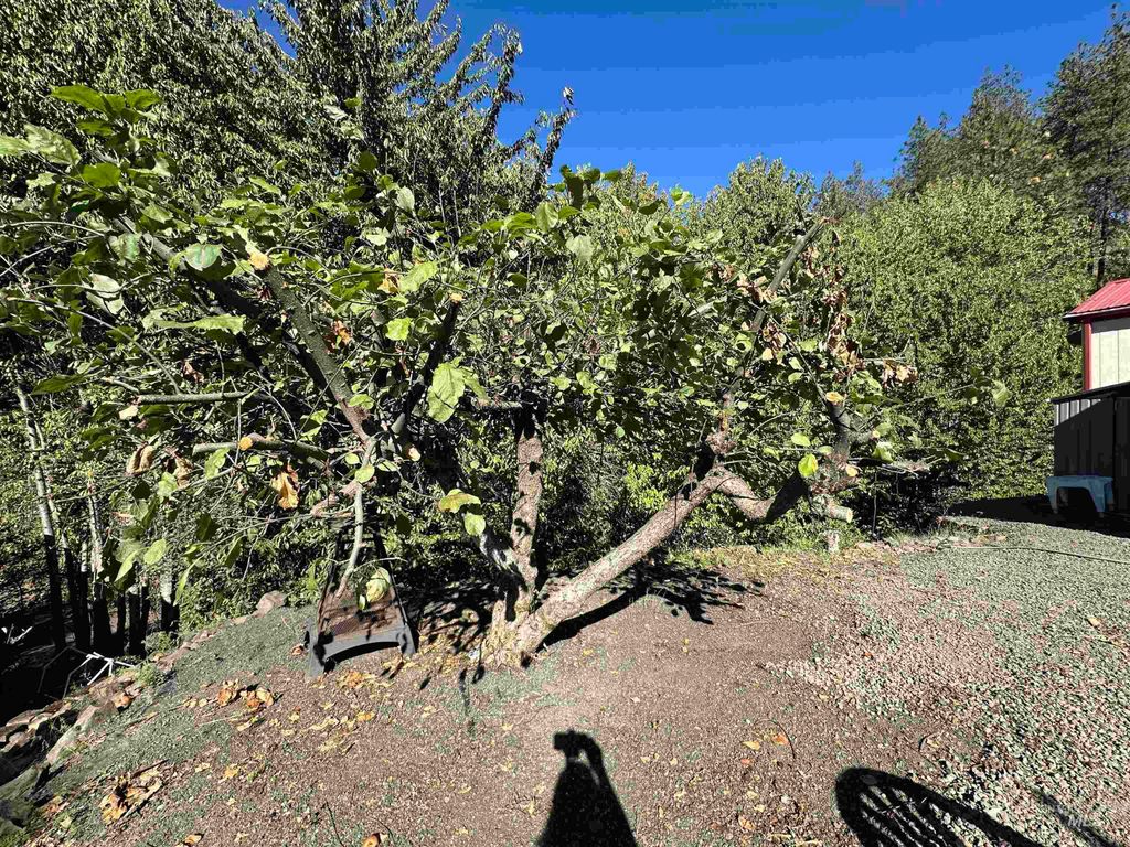 201 Chief Looking Glass Ln, Kamiah, ID 83536 photo 17