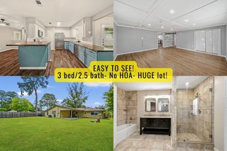 3602 W Sweet Gum Drive, Spring, TX 77388