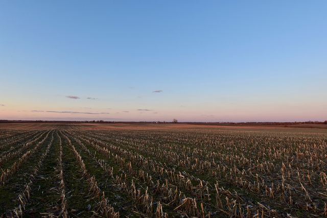 000 Jersey Road, Tampico, IL 61283