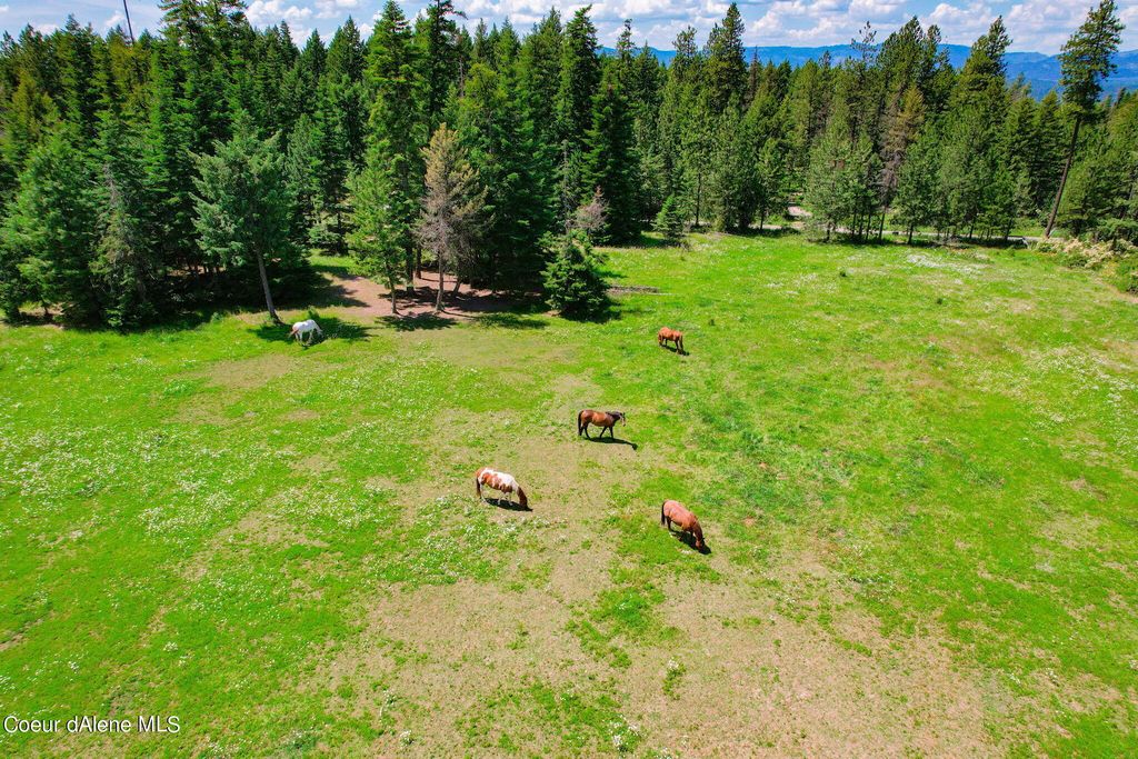 5939 E Burma Rd, Harrison, ID 83833 photo 41