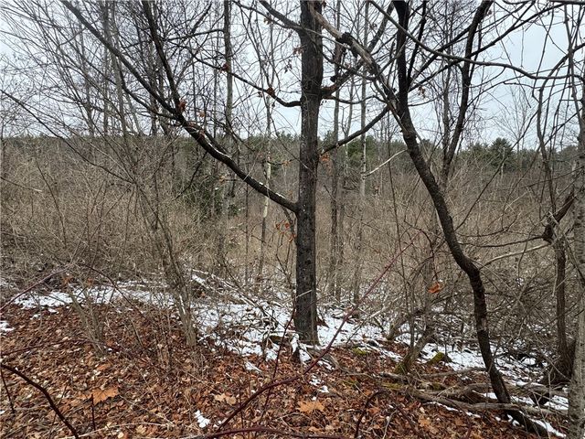 186 Diamond Valley Road, Tioga, NY 13734