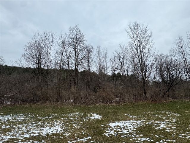 186 Diamond Valley Road, Tioga, NY 13734