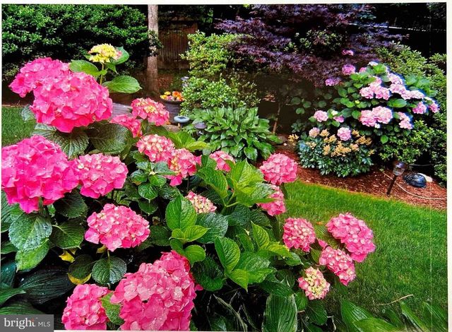 9121 DONNA DEAN DR, Springfield, VA 22153