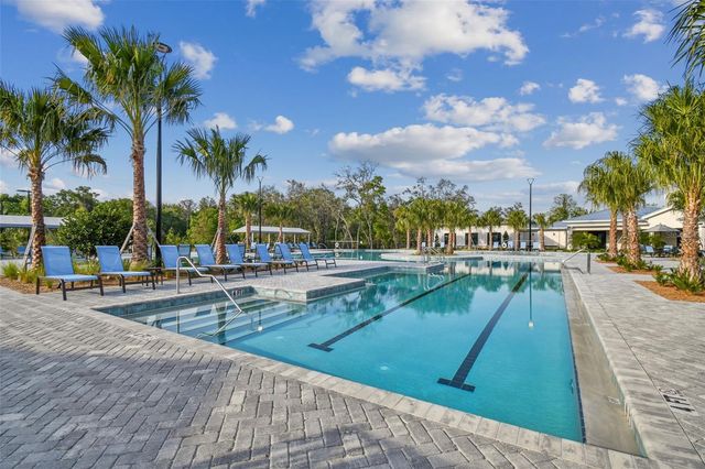 16710 SHELL BAY DRIVE, Land O Lakes, FL 34638