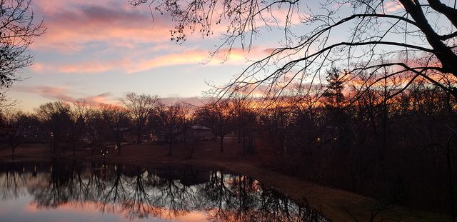 1022 QUEEN ANN DR, Columbia, MO 65201