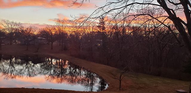 1022 QUEEN ANN DR, Columbia, MO 65201