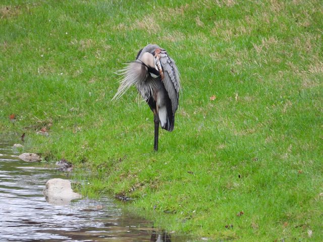 1022 QUEEN ANN DR, Columbia, MO 65201