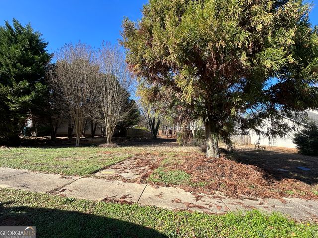 2025 Elm Grove Lane, Hampton, GA 30228