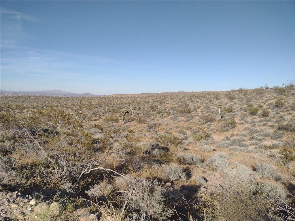 Image 2 of property listing at 15 Camp Rock, Lucerne Valley, CA 92356