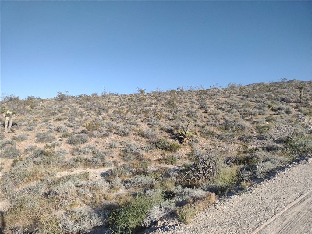 Image 3 of property listing at 15 Camp Rock, Lucerne Valley, CA 92356