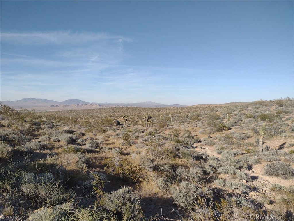 Image 4 of property listing at 15 Camp Rock, Lucerne Valley, CA 92356