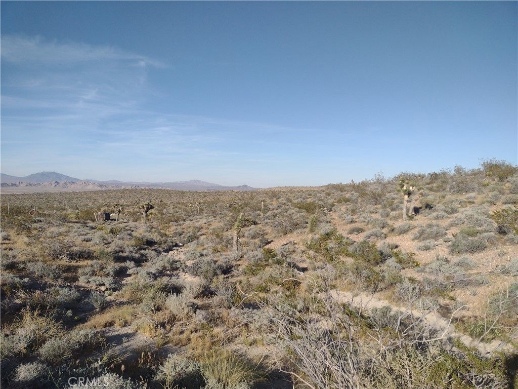 Image 5 of property listing at 15 Camp Rock, Lucerne Valley, CA 92356