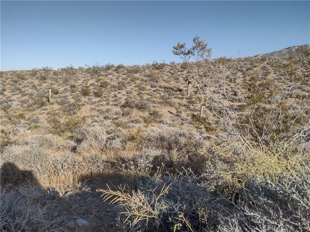 Image 6 of property listing at 15 Camp Rock, Lucerne Valley, CA 92356