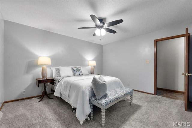1001 Euclid Drive, Sikeston, MO 63801