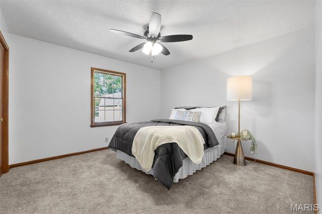 1001 Euclid Drive, Sikeston, MO 63801