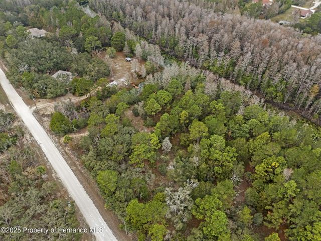 0 Yellowback Road, Weeki Wachee, FL 34614